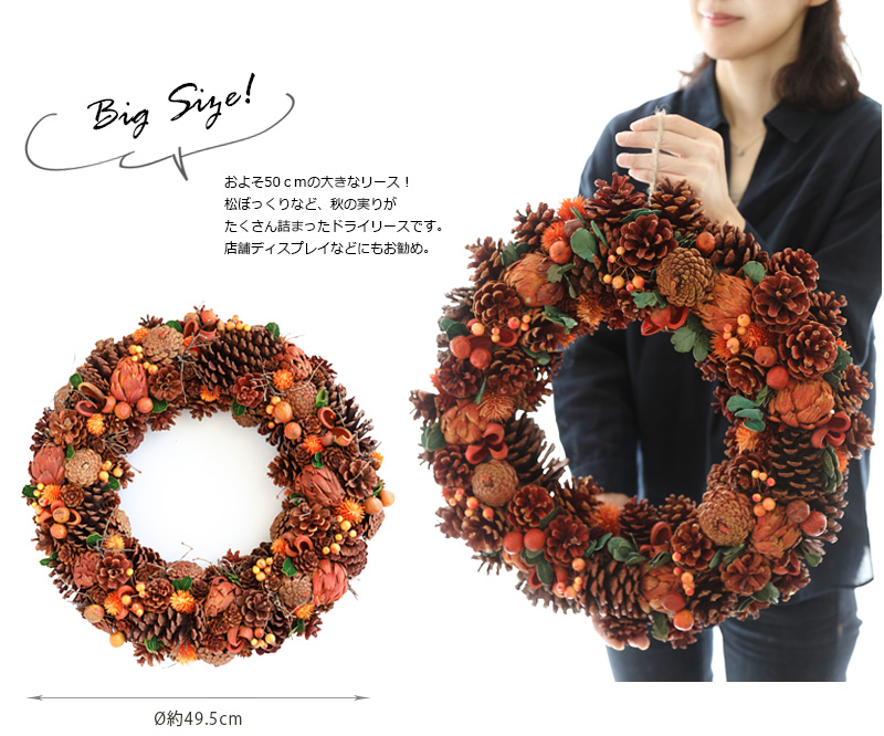 オータムリースHW411約50cm/ハロウィン/秋/ドライリース/ナチュラル
