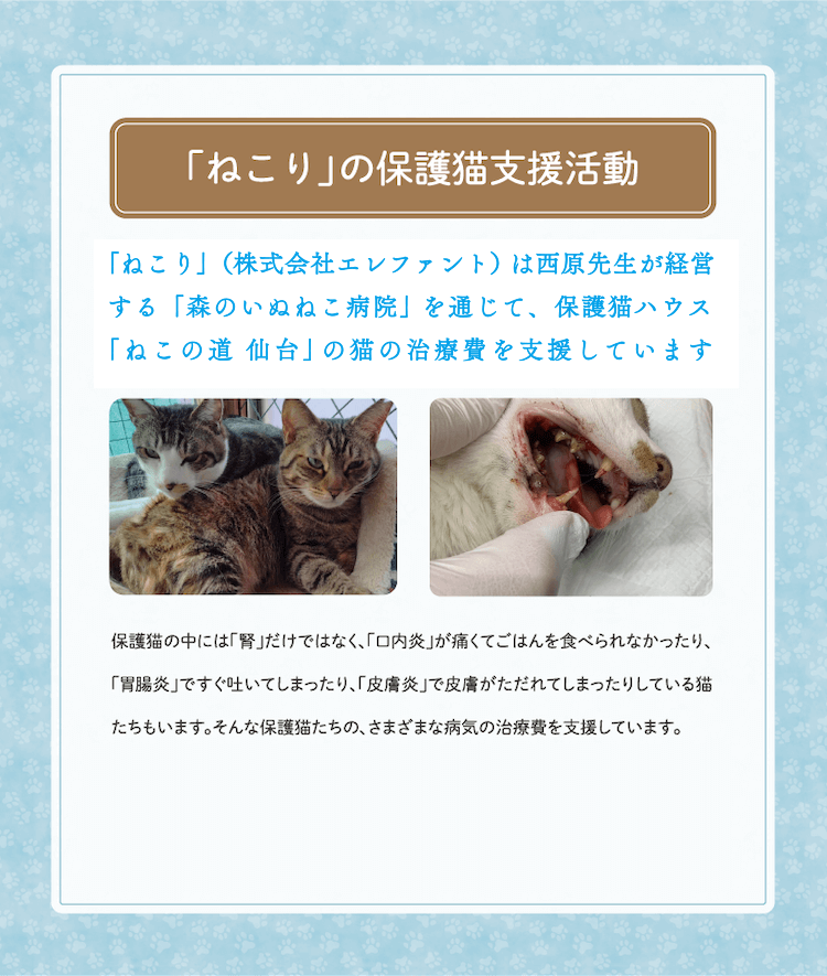 公式】neco-ri（ねこり）｜猫のカラダを考えた健康おやつ