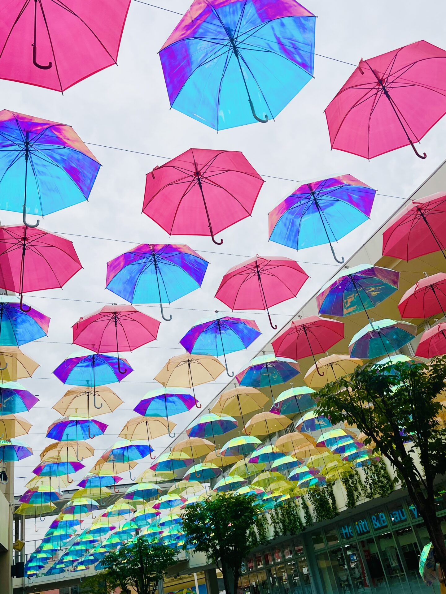 今年もカラフルな傘の絶景♪フォトスポットたくさん&限定メニュー&超