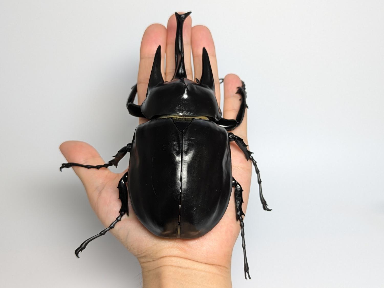 バンダイ いきもの大図鑑アドバンス ゾウカブトとヘラクレスオオカブト