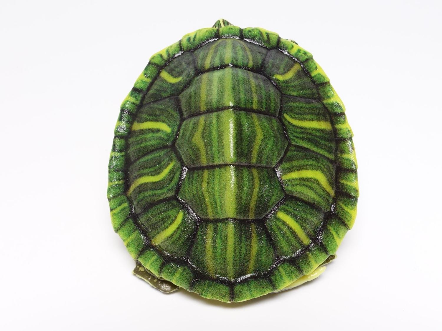 バンダイ いきもの大図鑑アドバンス カメ01