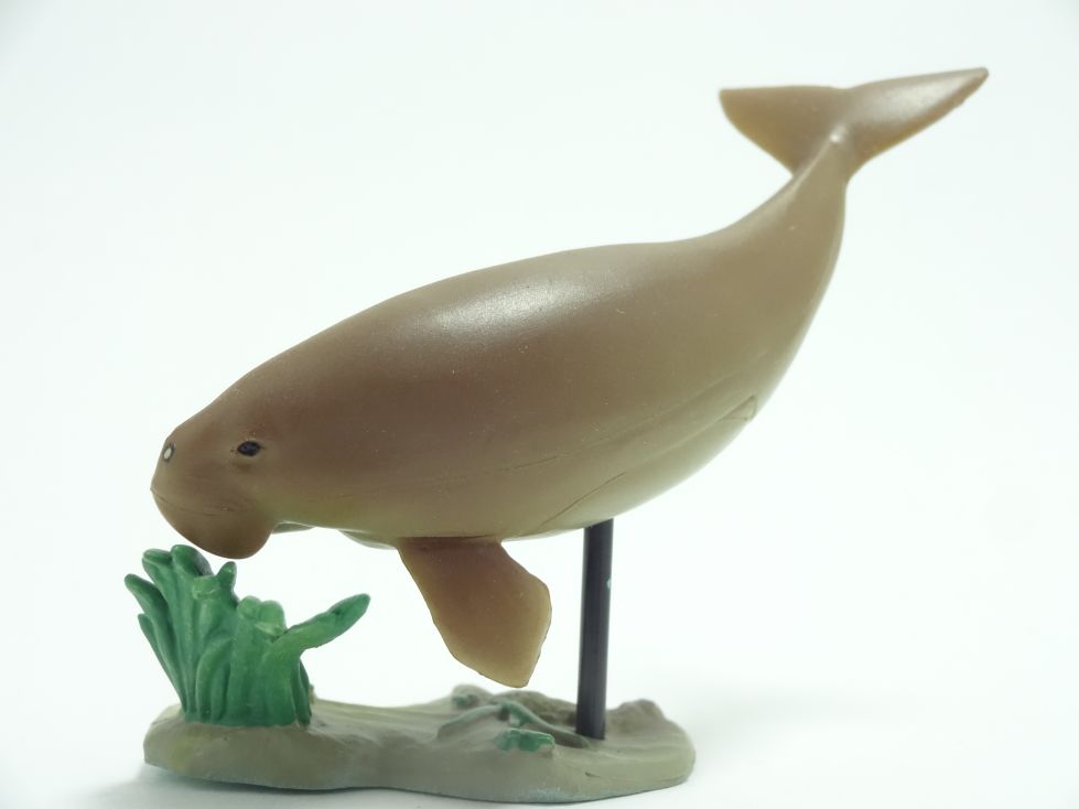 週刊日本の天然記念物 2