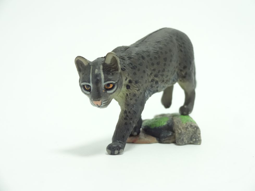 週刊日本の天然記念物 2