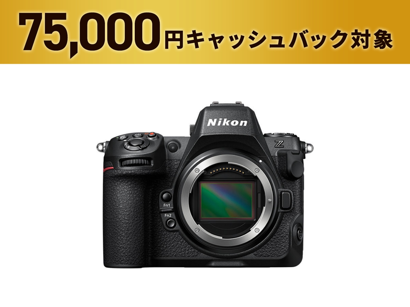 Z8 - 公式通販 | ミラーレスカメラ | NikonDirect - ニコンダイレクト