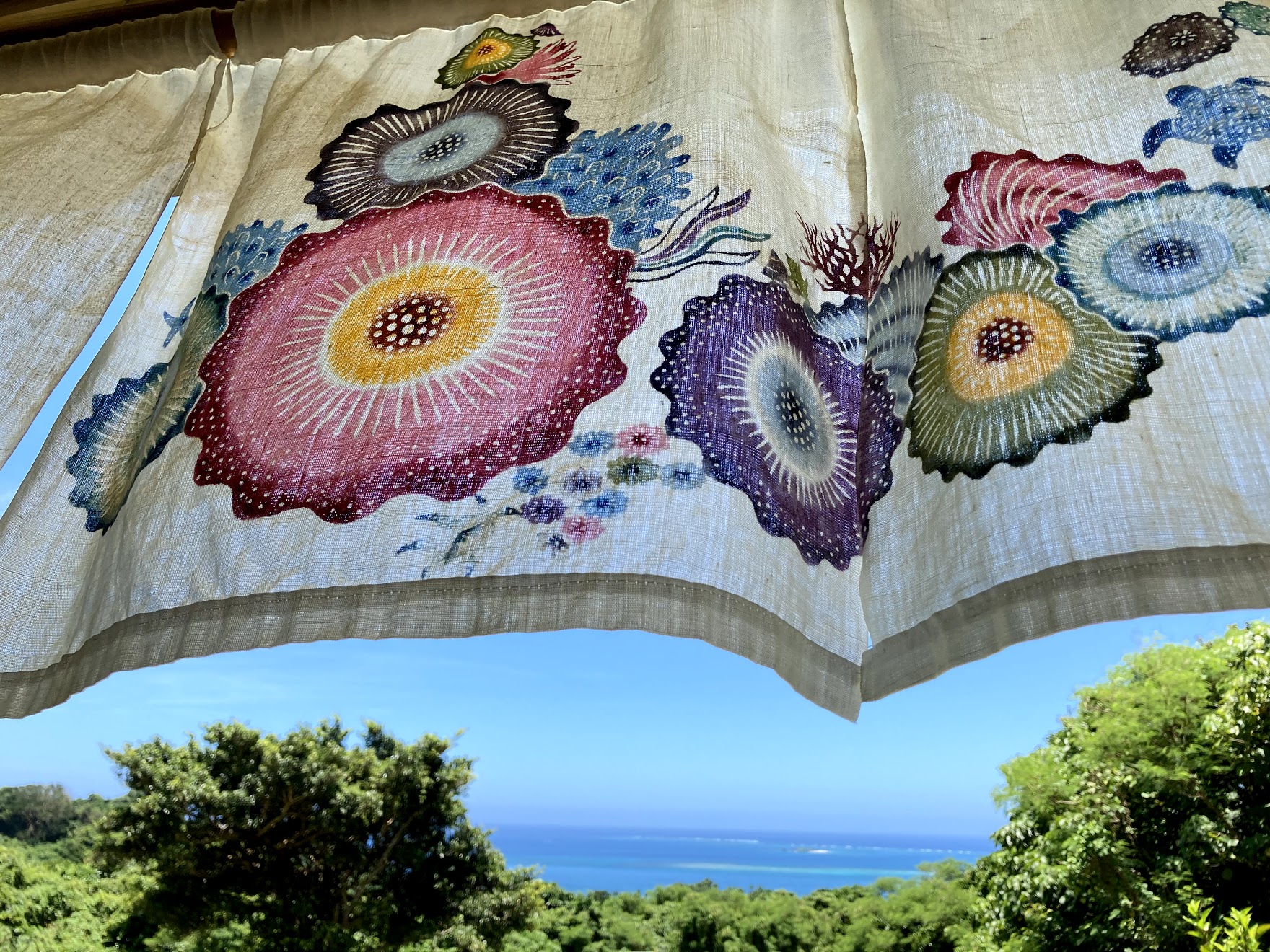 虹亀商店 | 虹亀商店