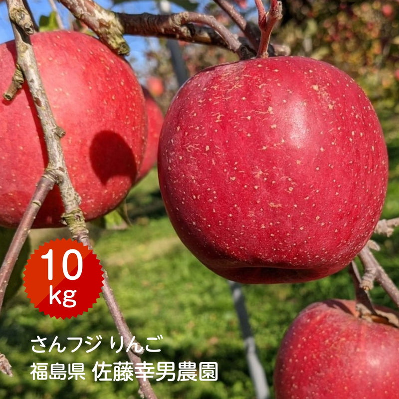 りんご 【佐藤幸男農園】 リンゴ 10kg フジ Lサイズ 26～32玉 贈答用
