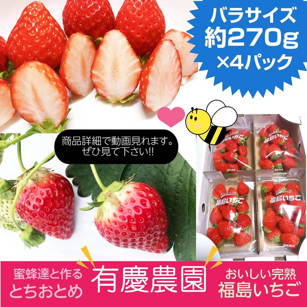 いちご 【有慶農園】 とちおとめ 250g×4パック 福島県須賀川 苺