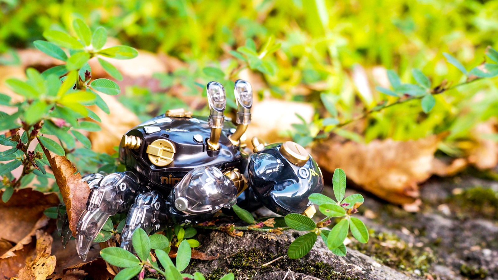 透ける、輝く、カニのプラモデル／橘猫工業の水産箱007 シオマネキ