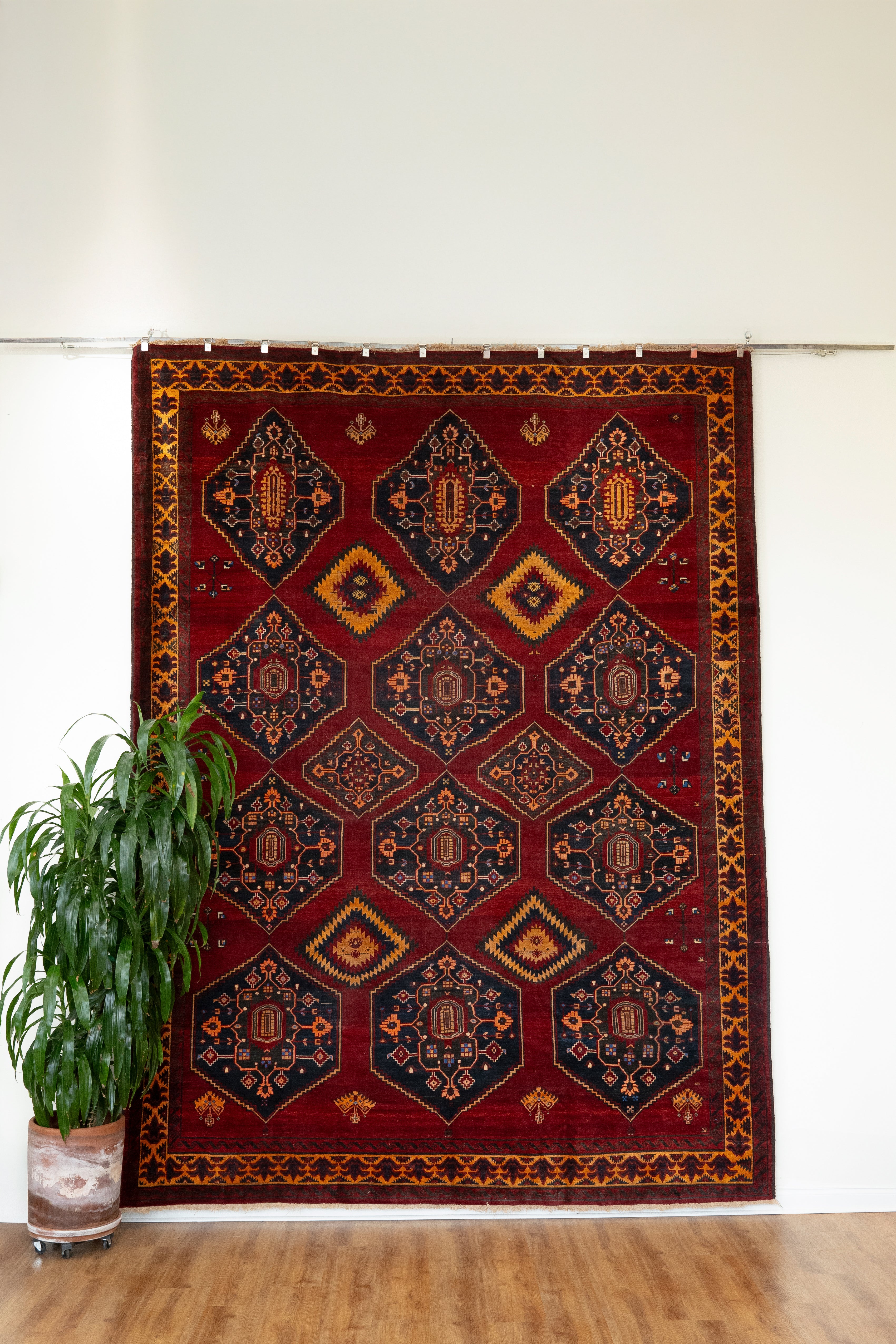 P1432399.jpg?v=1749366080&