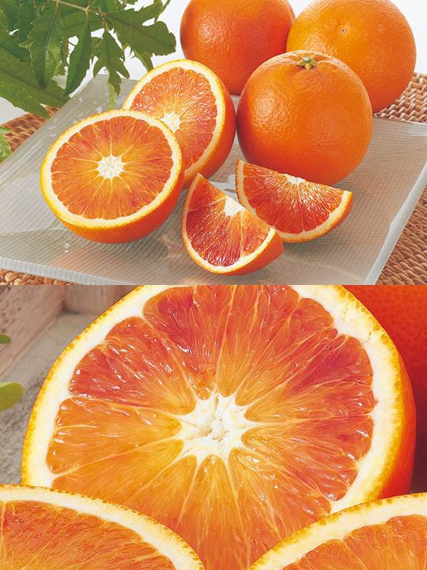 愛媛産「ブラッドオレンジ」約3kg-家庭用 | のま果樹園