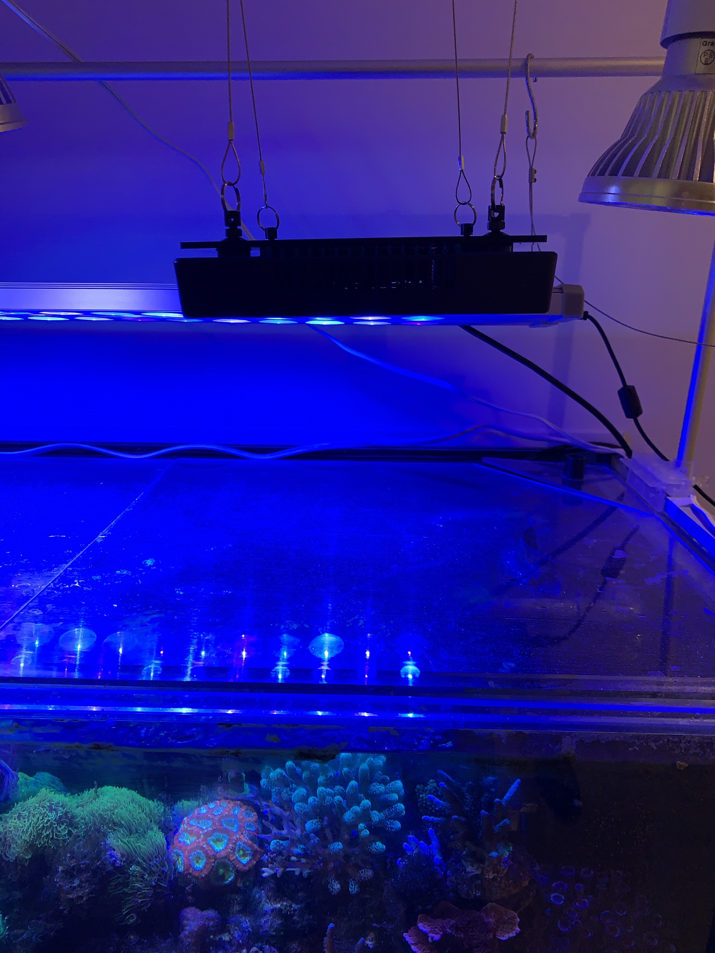 海水水槽用ライト（ラディオンG5購入）開封とメーカー市販のアーム無し