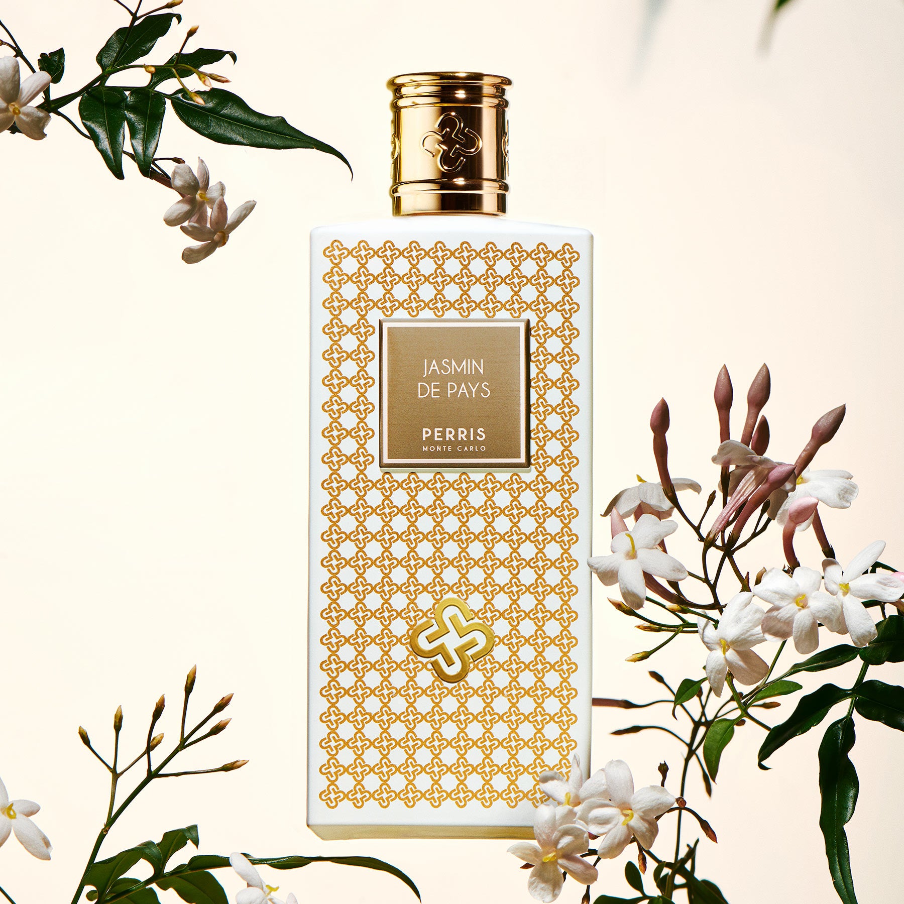 香りのDM便 Perris Monte Carlo – NOSE SHOP