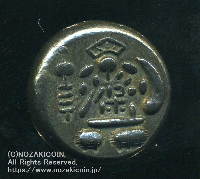 imgj895_700x.jpg?v=1689655639