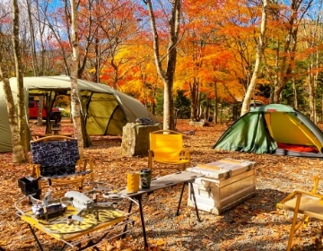 NATURAL MOUNTAIN MONKEYS