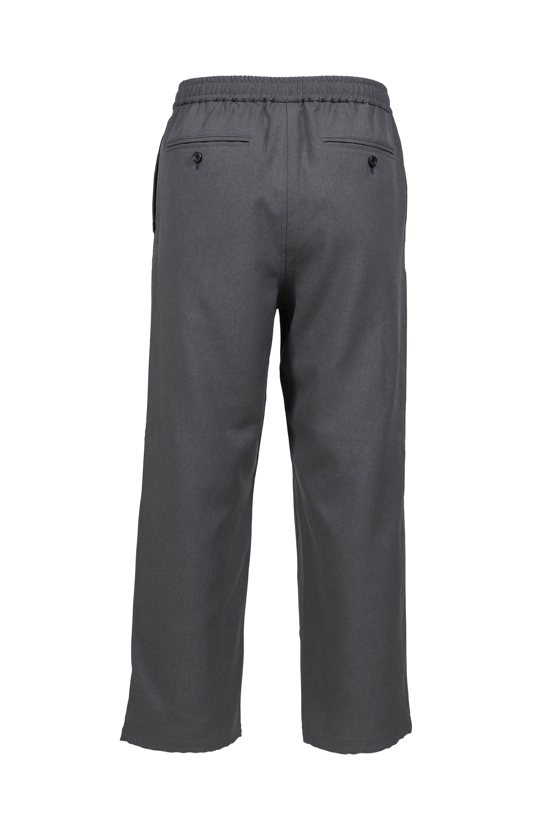 DAIWA PIER39 ダイワ ピア SS26 TECH WIDE EASY 2P TROUSERS / CHA