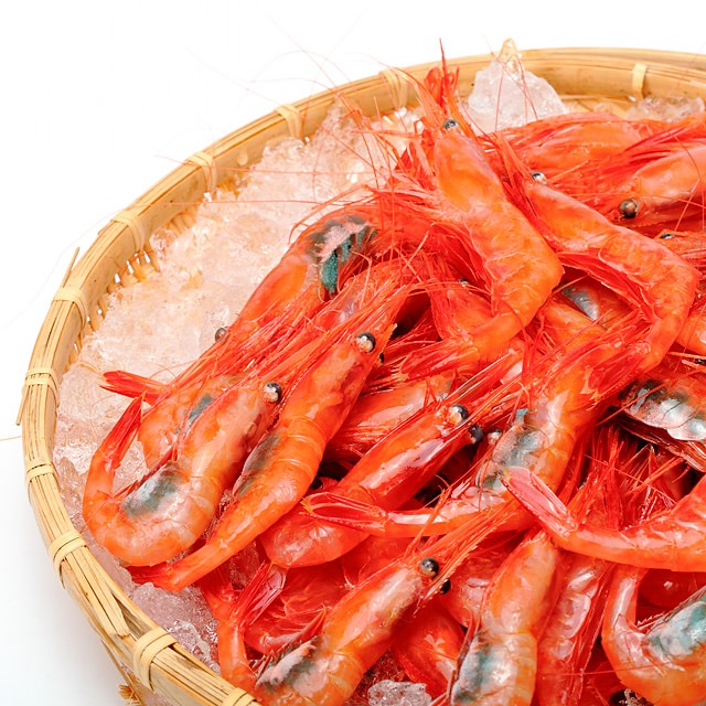 萬漁水産 男鹿産 甘エビ(赤えび) 1kg (生・冷蔵)｜男鹿なび通販