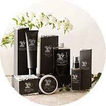 セラム | オッジィオット oggi otto