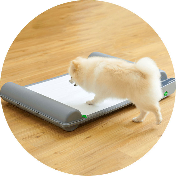 ロール式自動犬トイレ ブリリアントパッドSMART | 株式会社オーエフティー