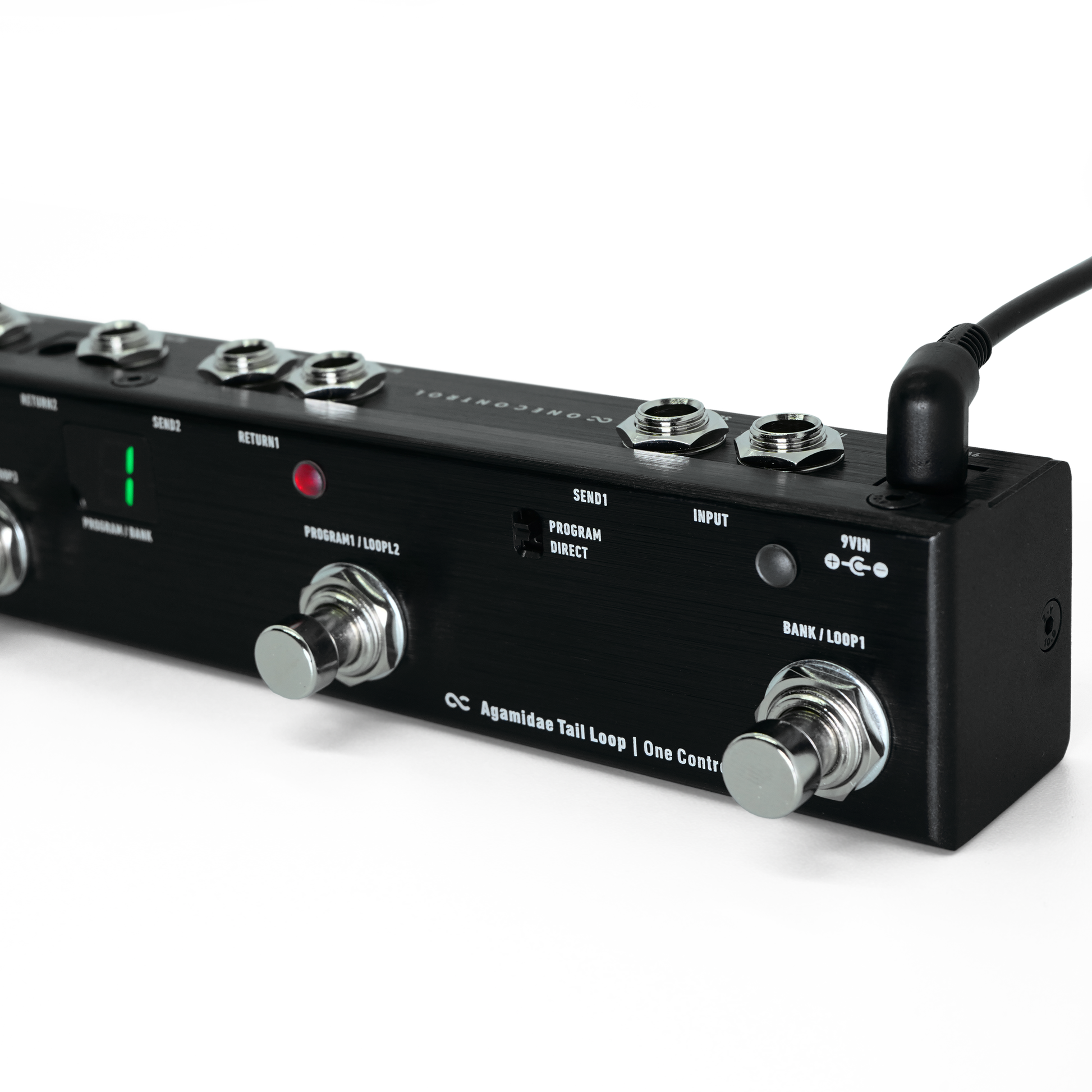 Agamidae Tail Loop (OC-6V) – One Control USA