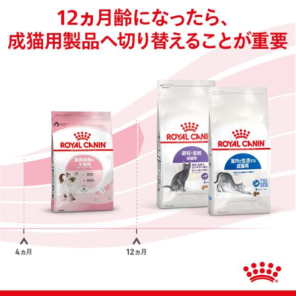 ロイヤルカナン フィーライン ヘルス ニュートリション キトン 成長