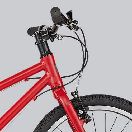 RITEWAY ( ライトウェイ ) キッズバイク ZIT 20 ( ジット 20 ) マット