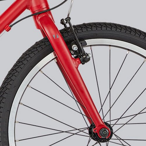 RITEWAY ( ライトウェイ ) キッズバイク ZIT 20 ( ジット 20 ) マット