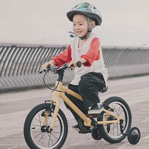 RITEWAY ( ライトウェイ ) キッズバイク ZIT 14 ( ジット 14 ) マット