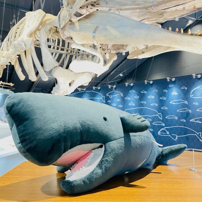 おしかホエールランド5周年記念企画について - ホエールタウンおしか