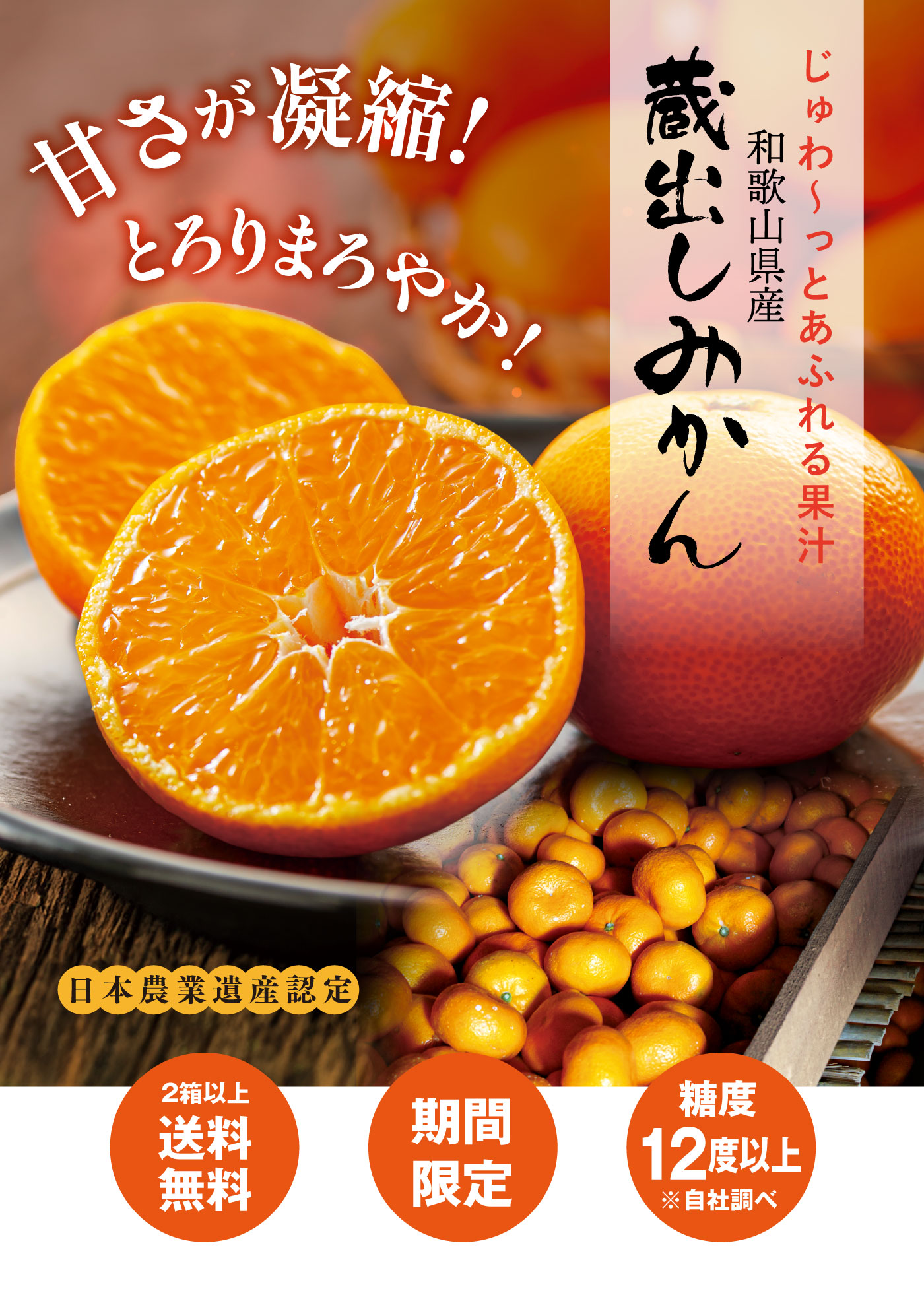 和歌山県産 蔵出しみかん 2kg 1,990円 同住所に2セット以上で送料無料