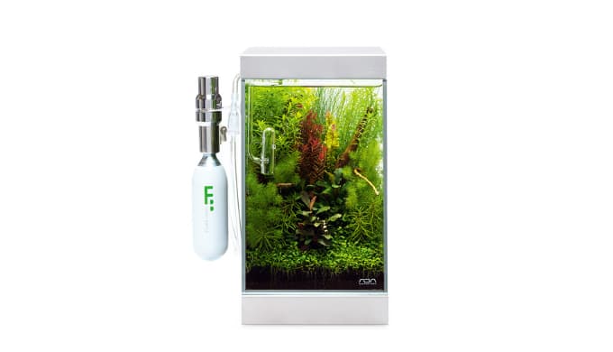 ADA ミニNAセット 150をレビュー】水草育成に特化した超小型ネイチャー