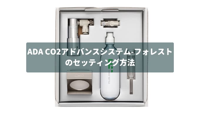 CO2添加入門】発酵式CO2キットのセッティング方法と使い方 | Ordinary