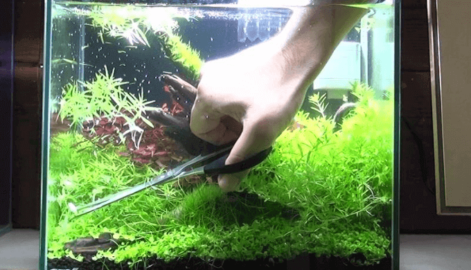 ADA 水草育成用セットミドボン用 電磁弁 水草育成用品」の人気商品一覧