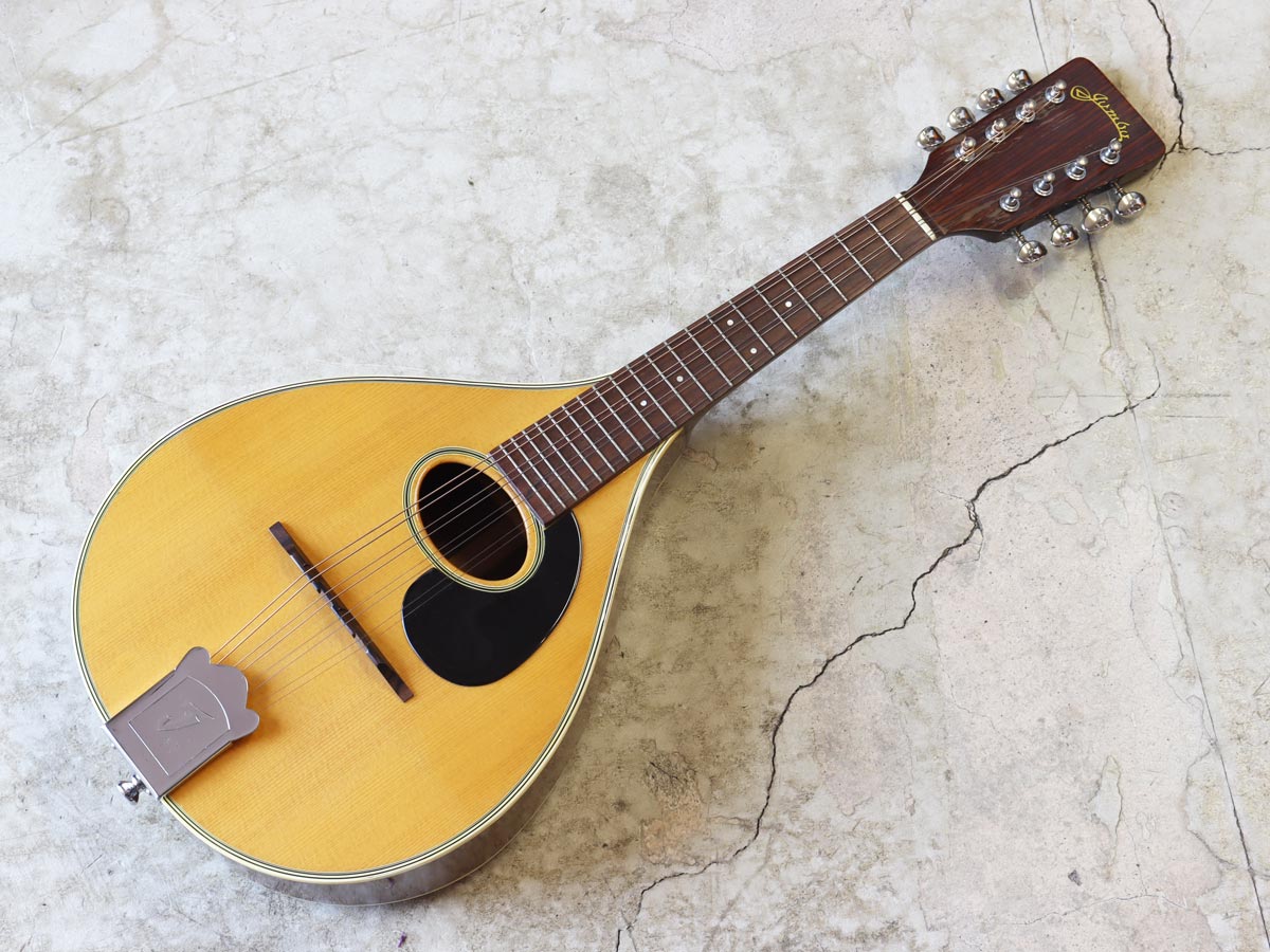 中古】Jumbo フラットマンドリン 田原楽器 マーチンタイプ - 神奈川県