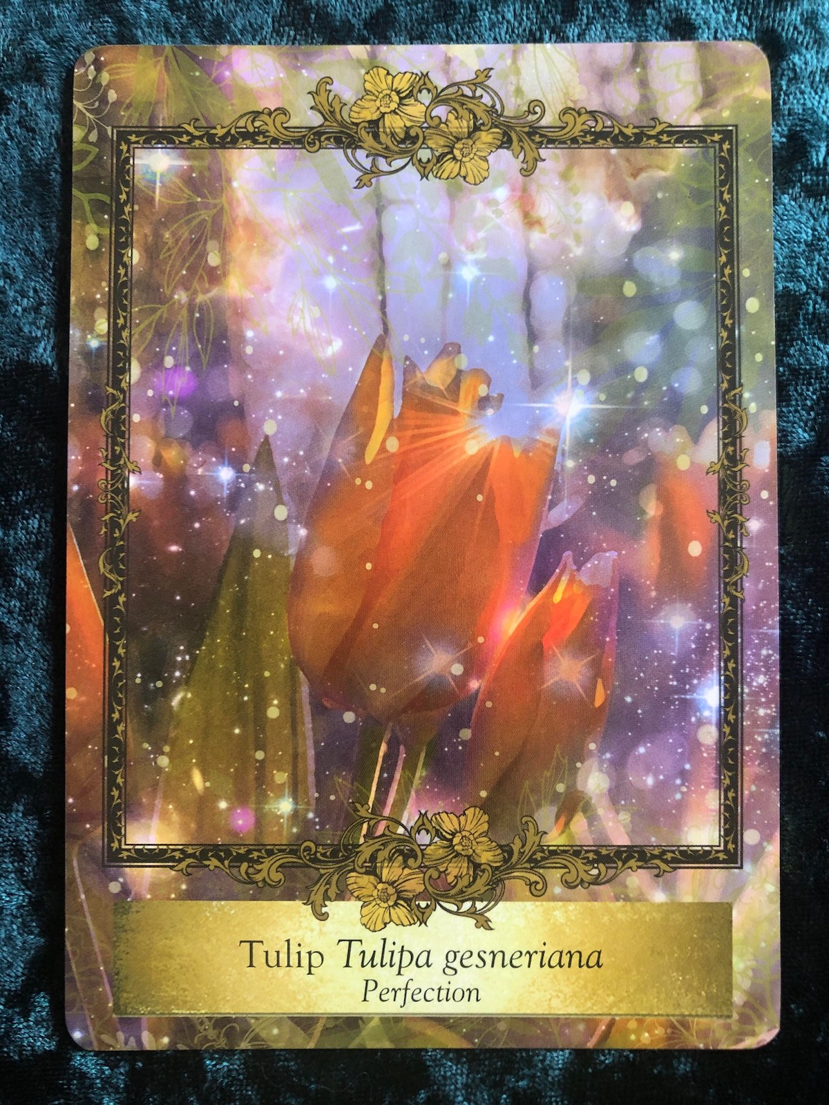 Alchemy Flower Oracle | Parting the Mists