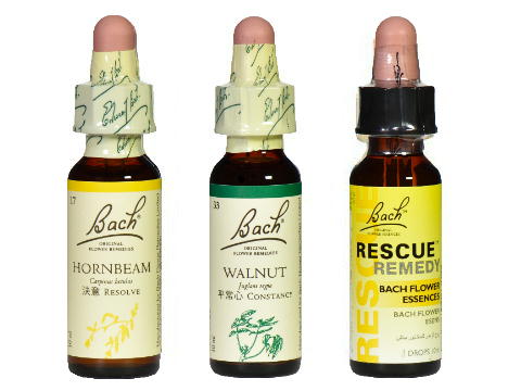 バッチフラワーレメディの使い方 | バッチフラワー専門店eパスタイム