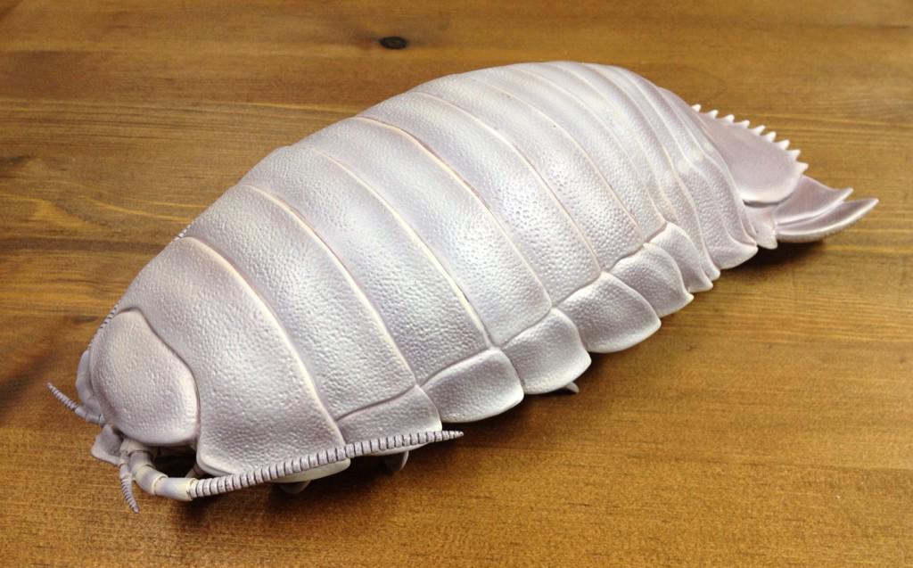 新作】ほぼ実寸！ダイオウグソクムシフィギュアいよいよ発売です！ど