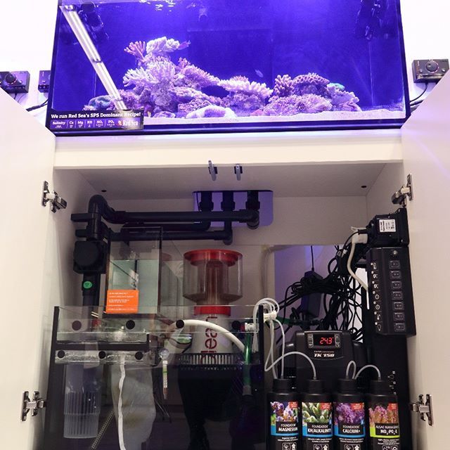 インターズー2018 Reefer250の新型V3サンプ。 スキマー区画に着脱式の