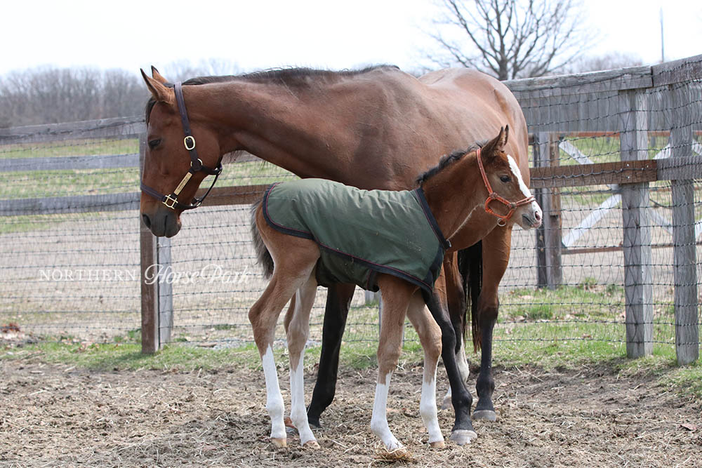 Ez9z_bCVUAAoFNb.jpg?format=jpg