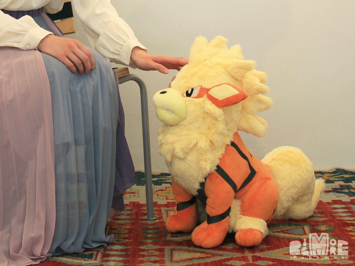 商品紹介】 BigMore!シリーズ、5月に発売となるのはウインディです