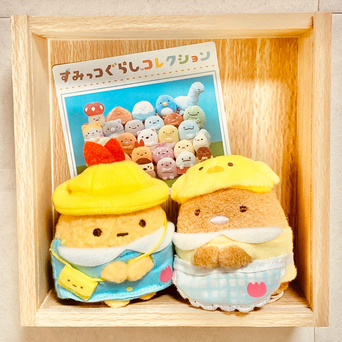 ぽんぽこりん (@ponpokorin_xo) / Posts / X