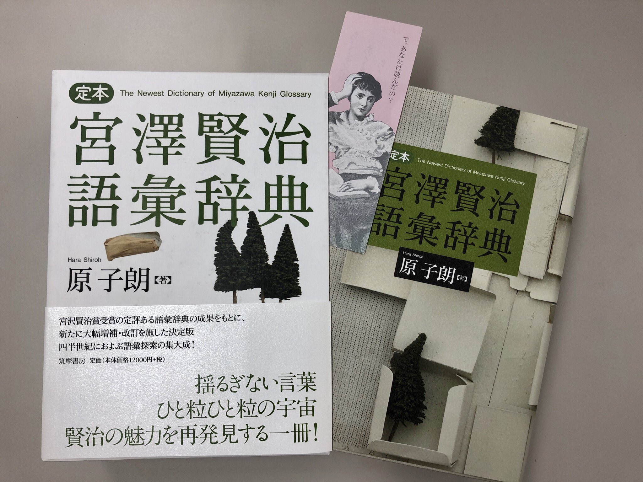 定本宮澤賢治語彙辞典 = The Newest Dictionary of M… 定本宮澤賢治