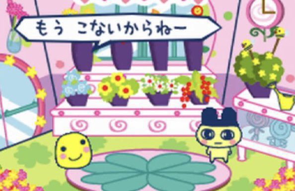 今理解したwww もうこな🤣まるっち😂