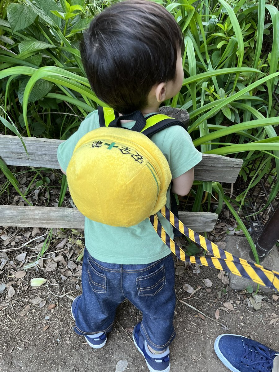 子どもの安全第一ハーネスが話題になっていたようで嬉しいです。息子と