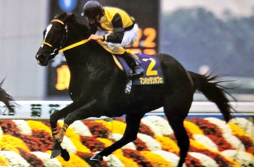 菊花賞】#マンハッタンカフェ 第62回菊花賞ではダービー馬のジャングル