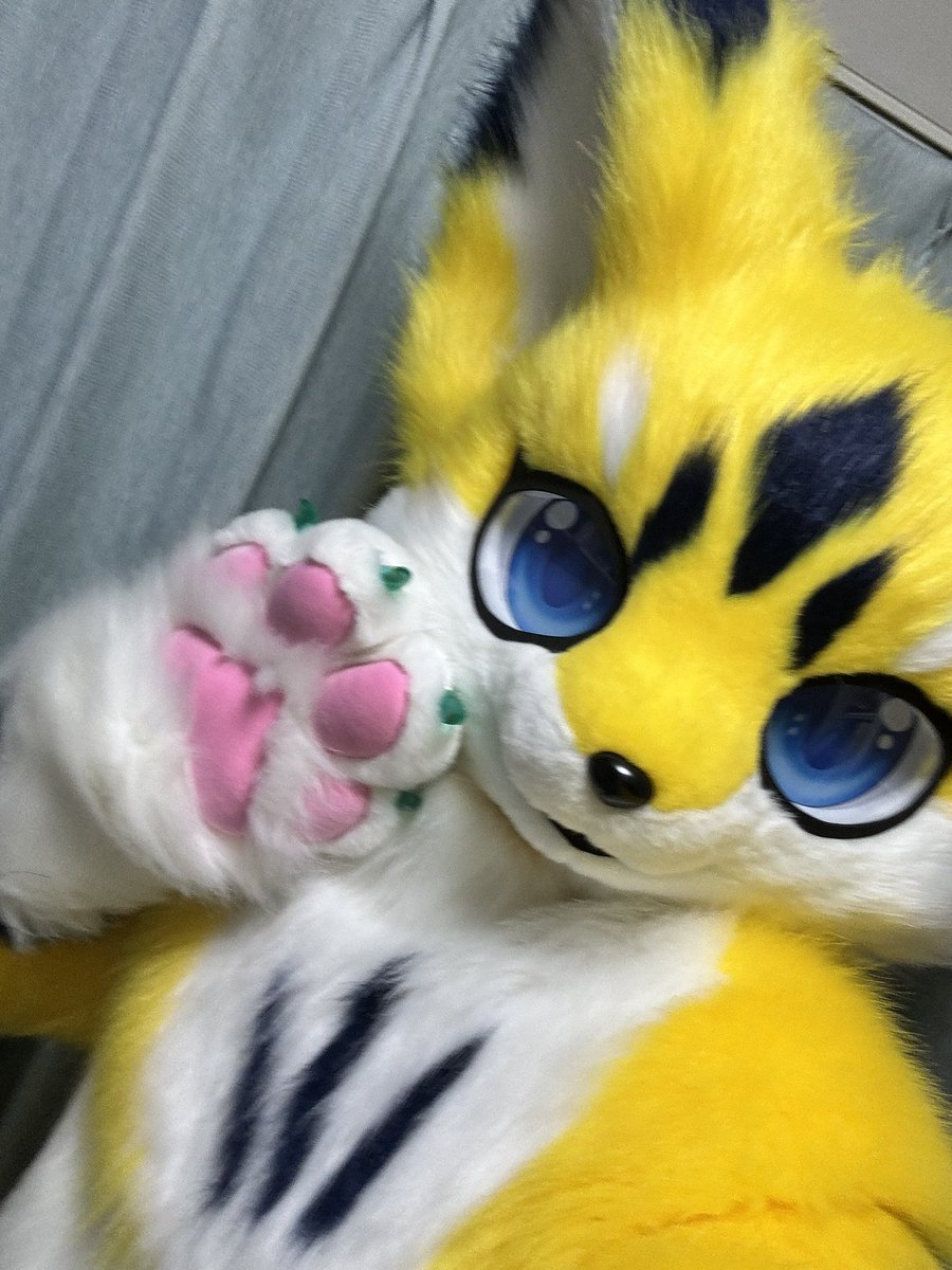 パクンチョ (@gozo_lop) / Posts / X