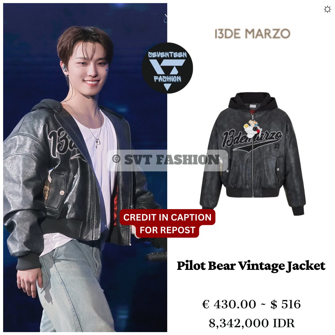 Dino wore 13De Marzo Jacket at Seventeen 'NEW_' Concert in Osaka