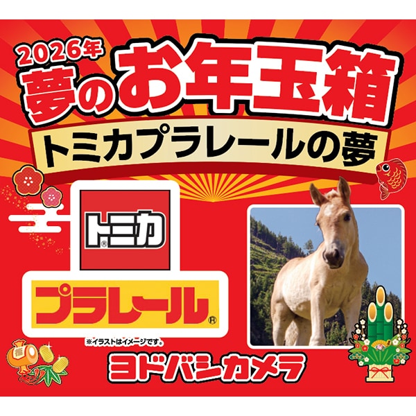 ヨドバシ・ドット・コムにて「2026年 夢のお年玉箱」の追加抽選販売
