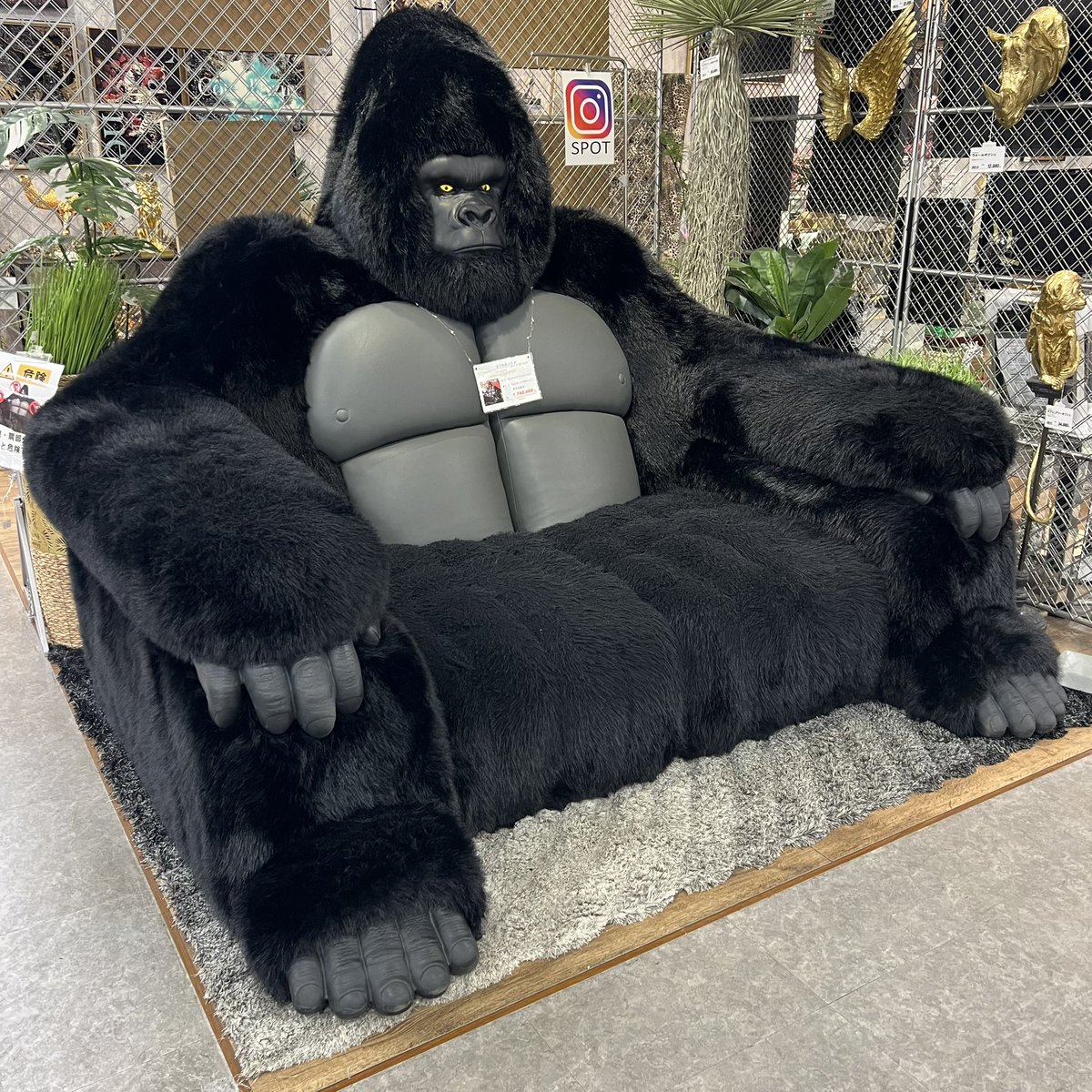 うちの近くのホームセンターに売ってました🦍