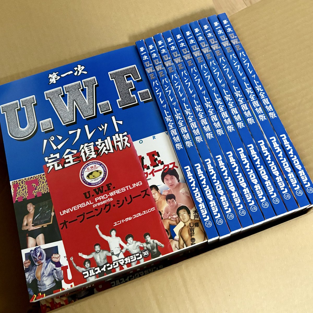 UWF☆オープニングシリーズ☆大会ポスター・全券・パンフレット UWF