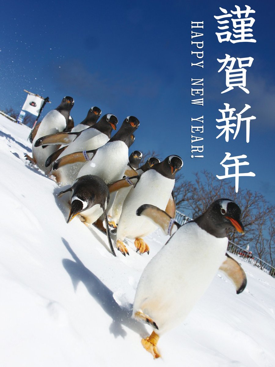 マロン (@maron_4024) / Posts / X